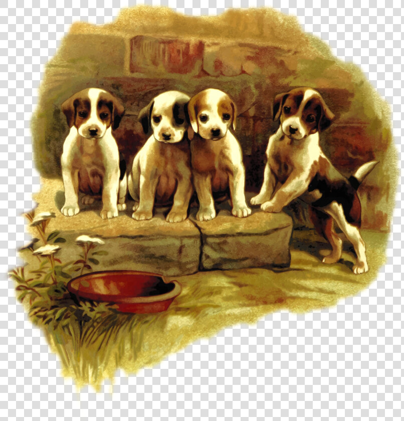 Puppy Love carnivoran dog   Puppy  HD Png DownloadTransparent PNG