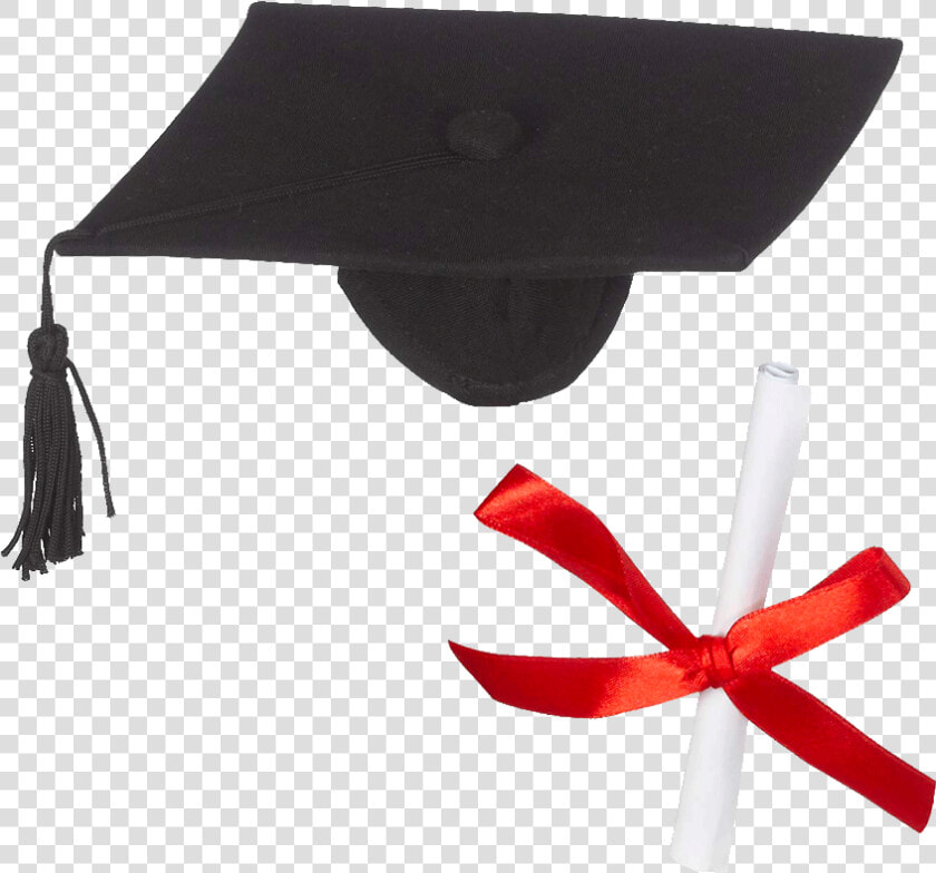 Whatzupwiththat ® Bearwear Graduation Hat  amp  Diploma   Mortarboard  HD Png DownloadTransparent PNG
