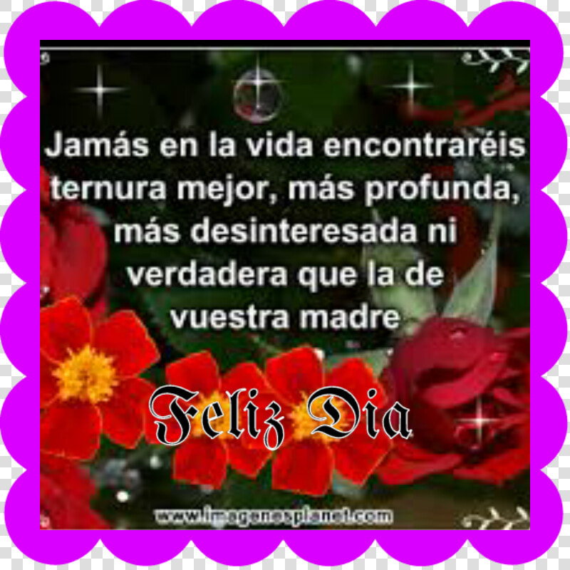 Transparent Feliz Dia De Las Madres Png  Png DownloadTransparent PNG