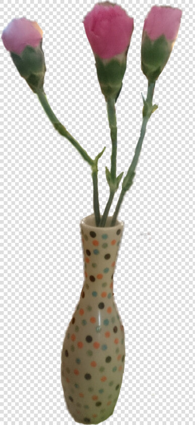 flores  florero  claveles  clavel  3  carnation  carnations   Polka Dot  HD Png DownloadTransparent PNG