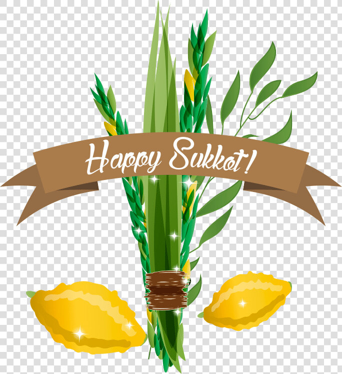 Sukkot Illustration  HD Png DownloadTransparent PNG