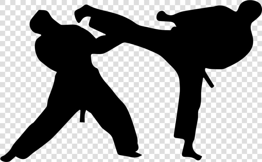 World Taekwondo Sparring Clip Art Martial Arts   Karate Fight  HD Png DownloadTransparent PNG