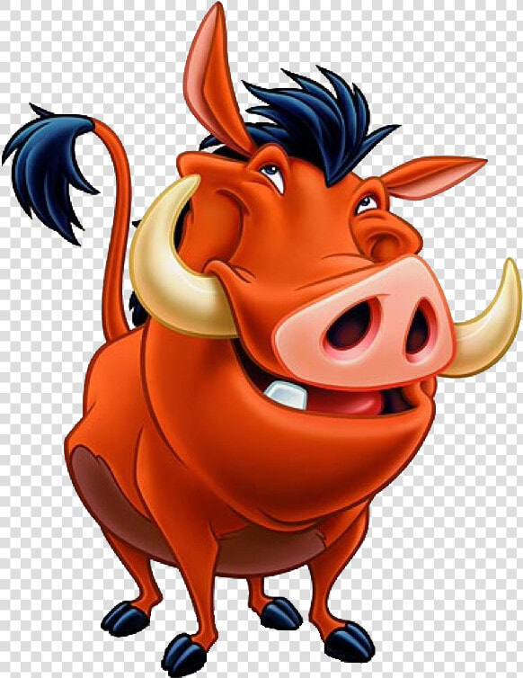 Thumb Image   Pumba Png  Transparent PngTransparent PNG