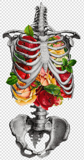 Transparent Inner Beauty   Skeleton Chest With Flowers  HD Png DownloadTransparent PNG