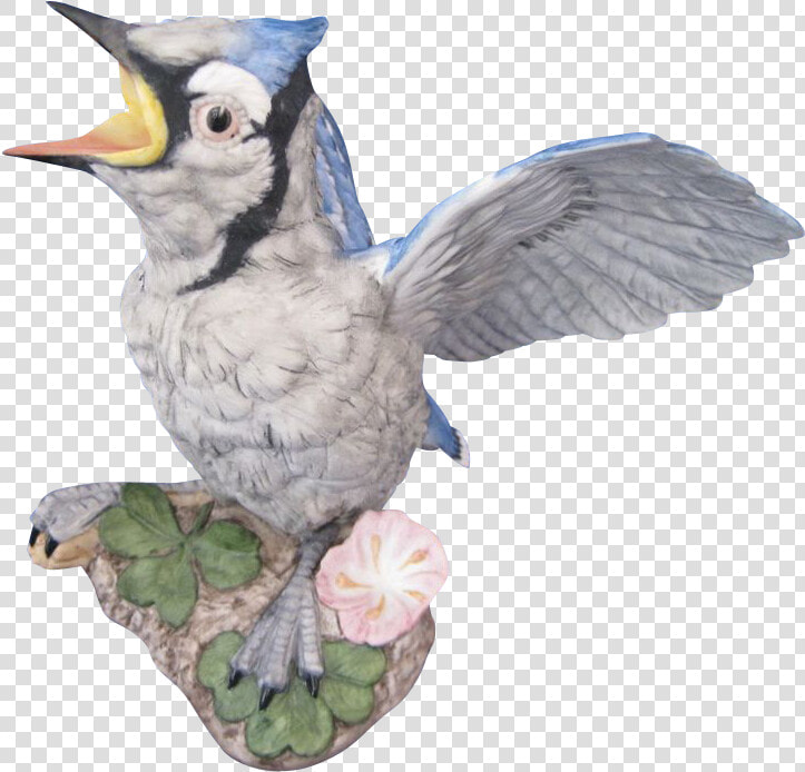 Transparent Blue Jay Png   Blue Jay  Png DownloadTransparent PNG