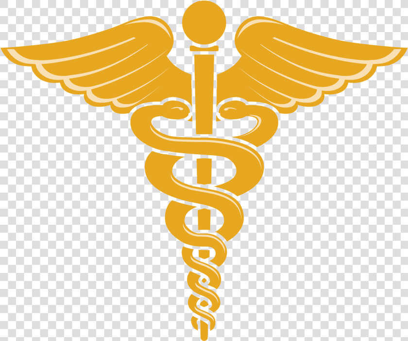 Doctor Symbol Caduceus Png File   Doctor Symbol Png  Transparent PngTransparent PNG