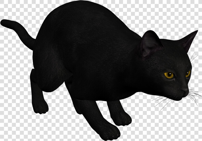Cat Black Png Clipart Clipart Image   Draw A Cat Pouncing  Transparent PngTransparent PNG
