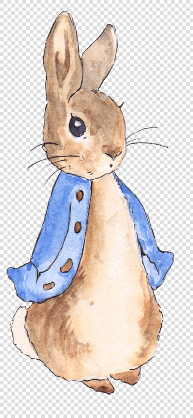 Peter Rabbit Png Free Library   Peter Rabbit  Transparent PngTransparent PNG