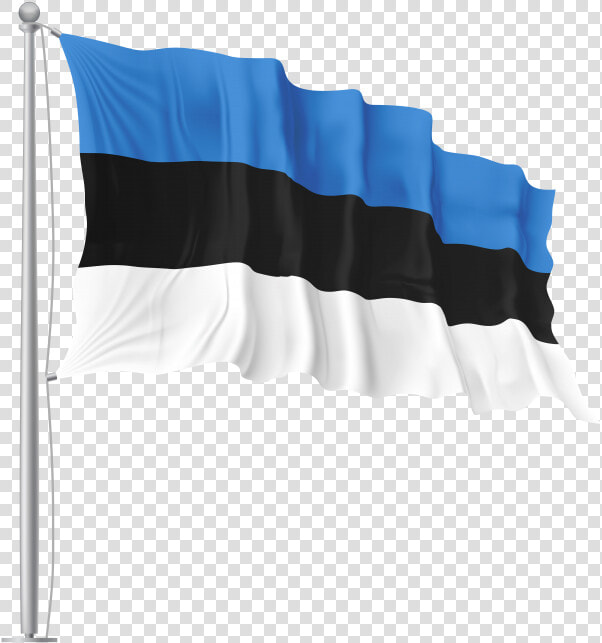 Estonia Waving Flag  HD Png DownloadTransparent PNG