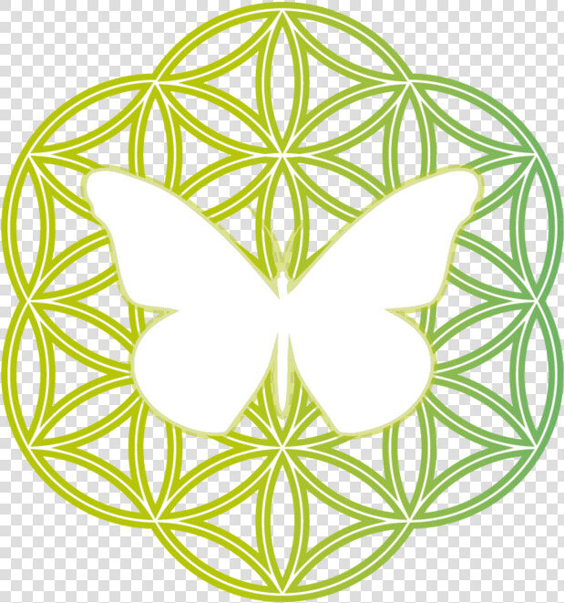 Mariposa     Golden Flower Of Life  HD Png DownloadTransparent PNG