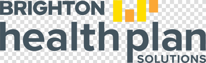 Bhps Logo 4c Gray 01   Brighton Health Plan Solutions  HD Png DownloadTransparent PNG