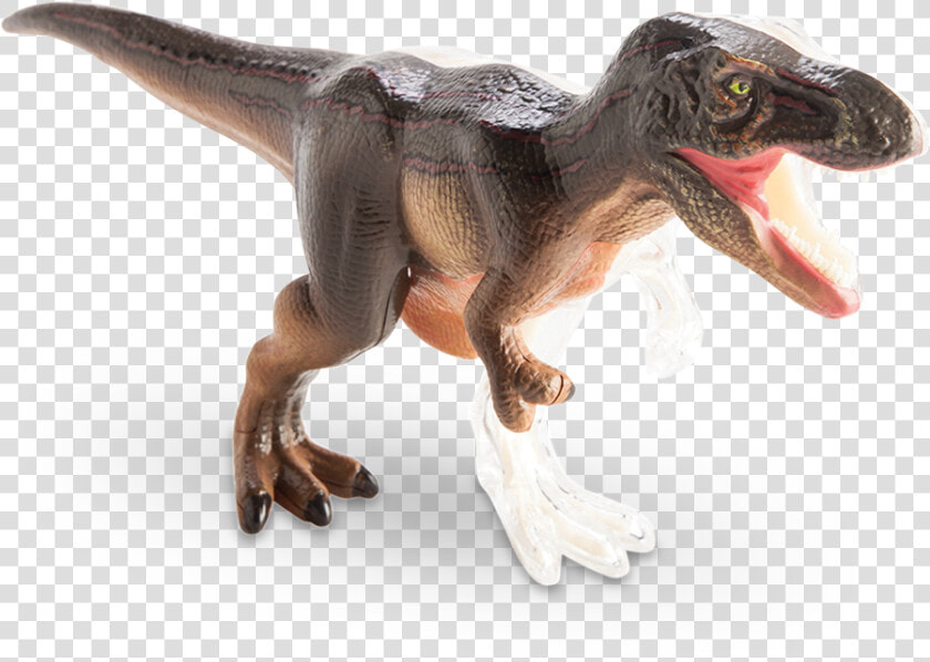 4d Vision T rex Anatomy Model   Velociraptor  HD Png DownloadTransparent PNG