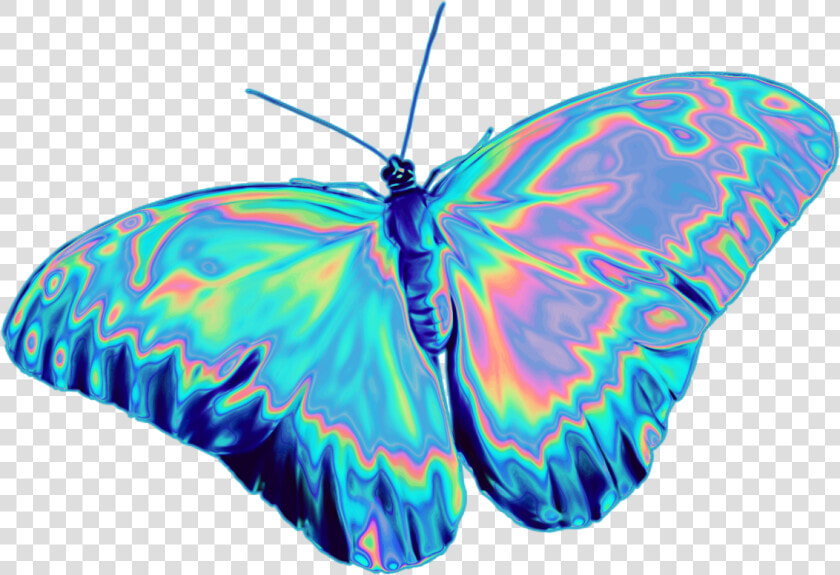 These Stickers And So Much More On Sale   Holographic Butterfly Png  Transparent PngTransparent PNG