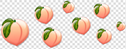 Crown Peachy Peachemoji Emojicrown   Peach Crown Png  Transparent PngTransparent PNG