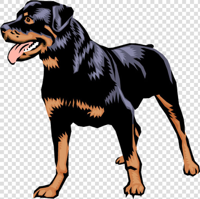 Rottweiler German Pinscher Puppy Dobermann Clip Art   Rottweiler Clipart Png  Transparent PngTransparent PNG