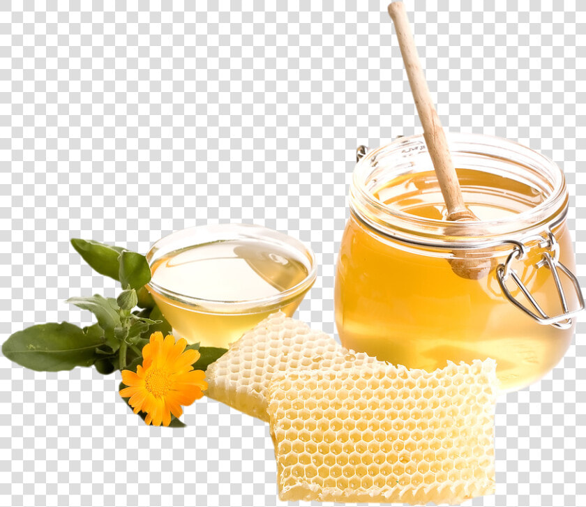 Transparent Dripping Honey Png   Uses Of Flowers Honey  Png DownloadTransparent PNG
