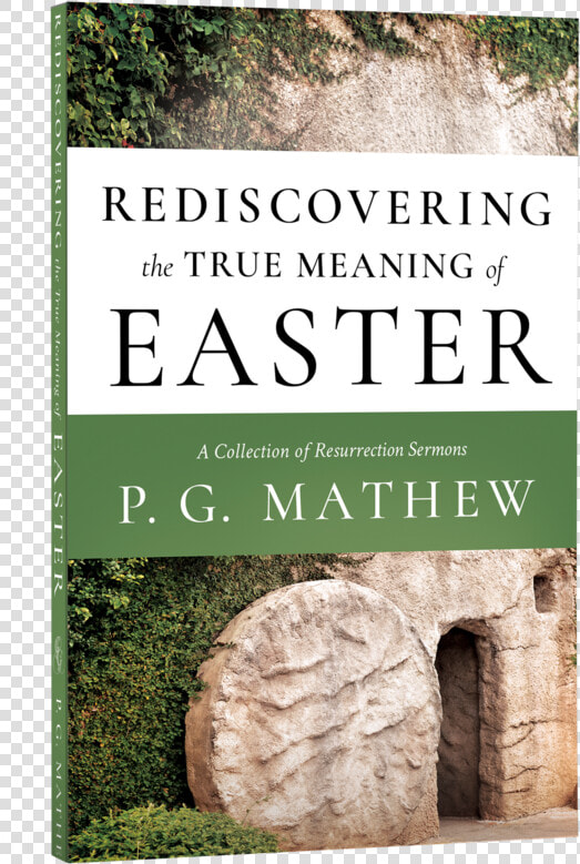 Rediscovering The True Meaning Of Easter   Grass  HD Png DownloadTransparent PNG