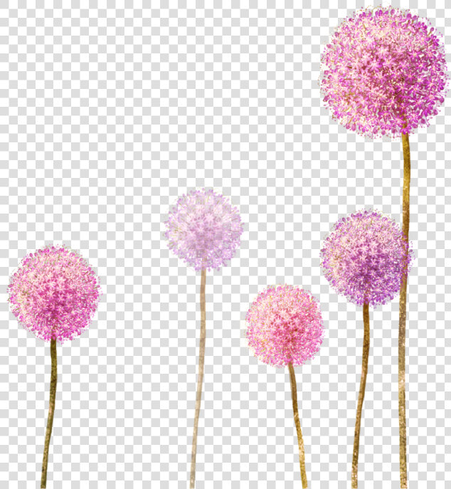  dandelion  wildflowers  spring  pink  flowers   Dandelion Drawing With Color  HD Png DownloadTransparent PNG