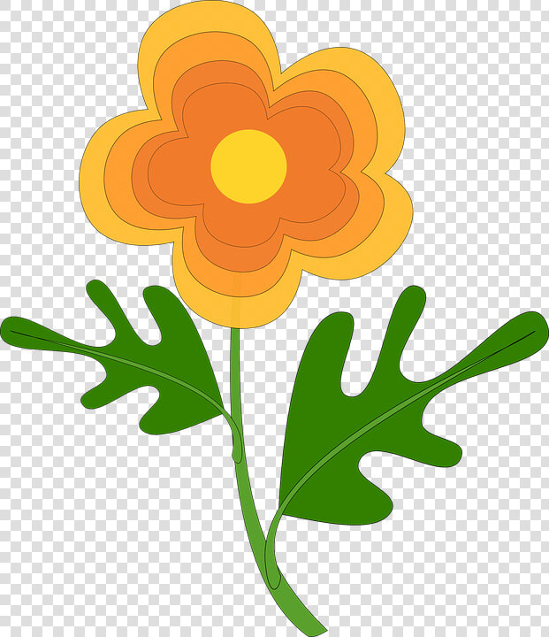 Flower  Orange Color  Nature   Desenho De Flor Cor Laranja  HD Png DownloadTransparent PNG