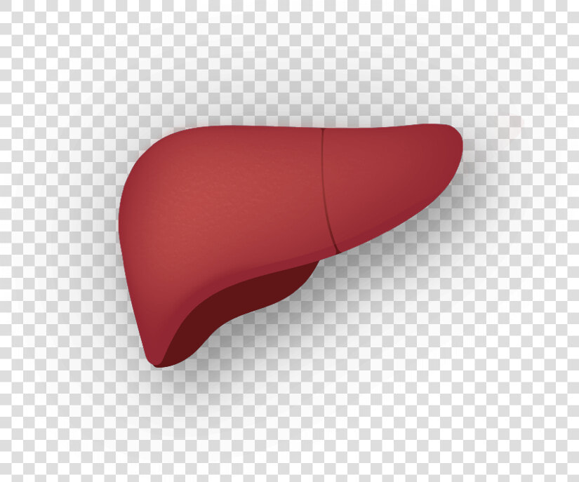 Comfort  HD Png DownloadTransparent PNG
