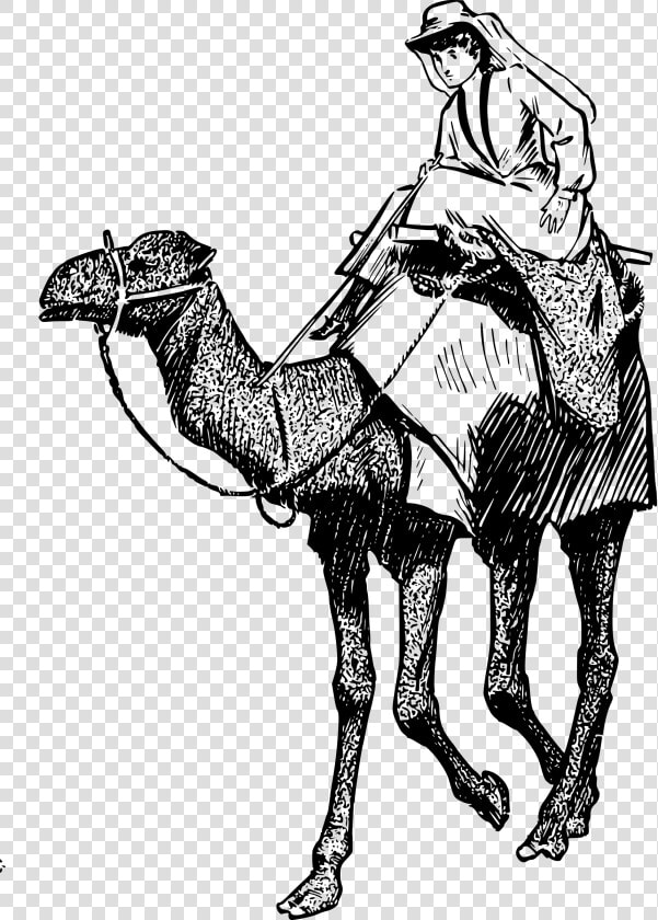 Woman On A Camel Clip Arts   Woman And Camel Png  Transparent PngTransparent PNG
