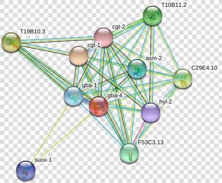 Gba 4 Protein   Circle  HD Png DownloadTransparent PNG