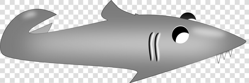 Snout shark fish   Sharks  HD Png DownloadTransparent PNG