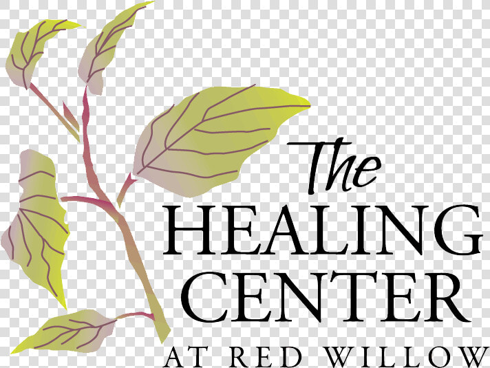 Holistic Healing   Facial Plastic Surgery Logo  HD Png DownloadTransparent PNG
