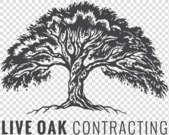Live Oak Contracting   Live Oak Tree Logo  HD Png DownloadTransparent PNG