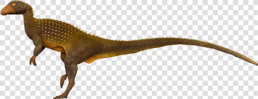 Velociraptor  HD Png DownloadTransparent PNG