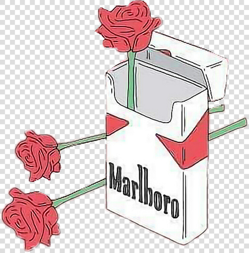  aesthetic  png  tumblr  freetoedit   Rose Aesthetic Drawing  Transparent PngTransparent PNG