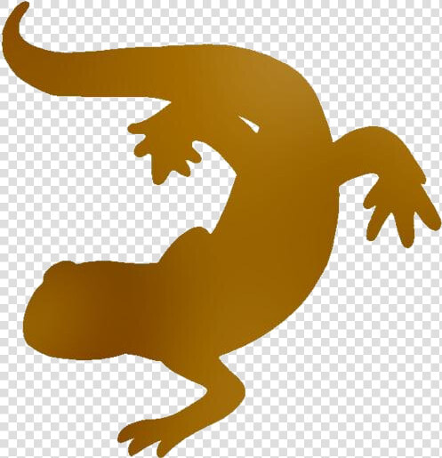 Salamander Png Transparent Images  Png DownloadTransparent PNG