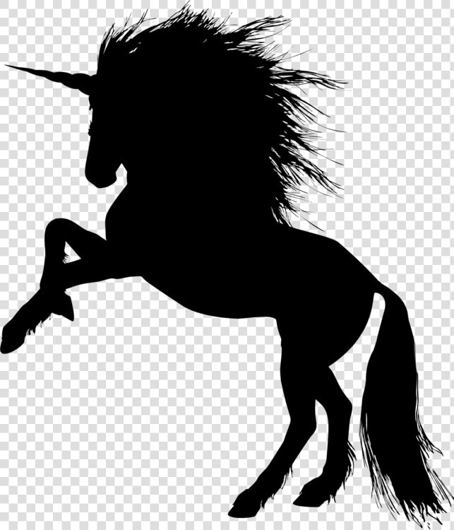Pony monochrome Photography carnivoran   Stallion Png  Transparent PngTransparent PNG