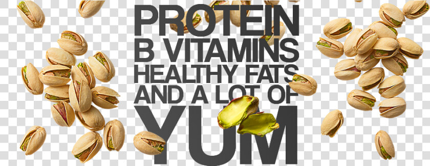 Protein  B Vitamins  Healthy Fats And A Lot Of Tum   Pistachio  HD Png DownloadTransparent PNG