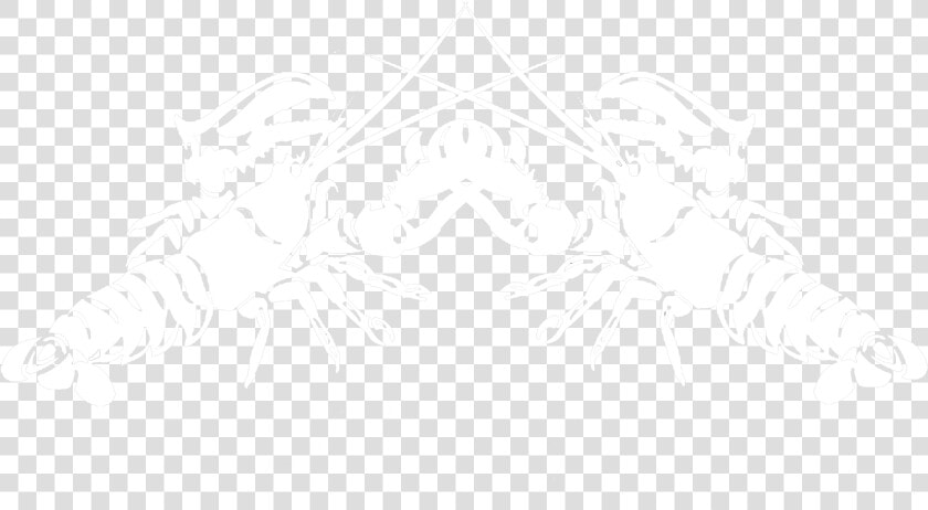 Logo With Crayfish   Homarus Gammarus  HD Png DownloadTransparent PNG