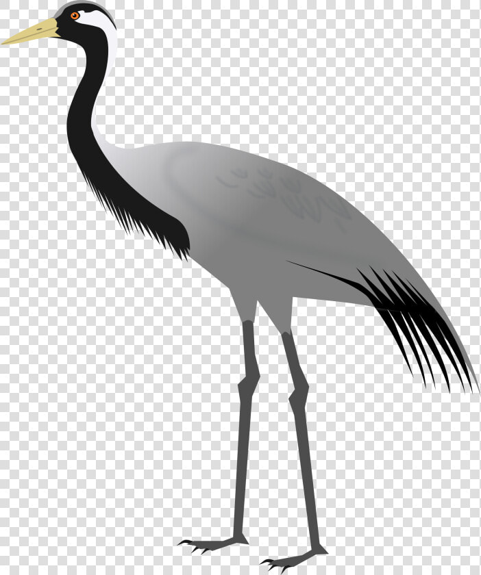 Heron Vector Crane Bird   Demoiselle Crane  HD Png DownloadTransparent PNG