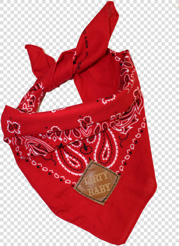 Best Friend Pet Bandanas And Baby Pets   Bag  HD Png DownloadTransparent PNG