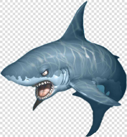 Sawshark Great White Shark Whale Shark Clip Art   Shark And Small Fish  HD Png DownloadTransparent PNG