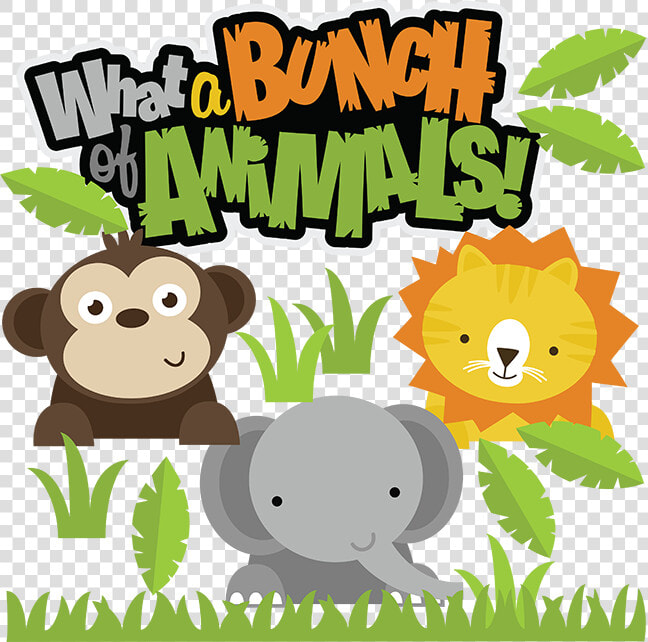 Miss Kate Cuttables Jungle  HD Png DownloadTransparent PNG