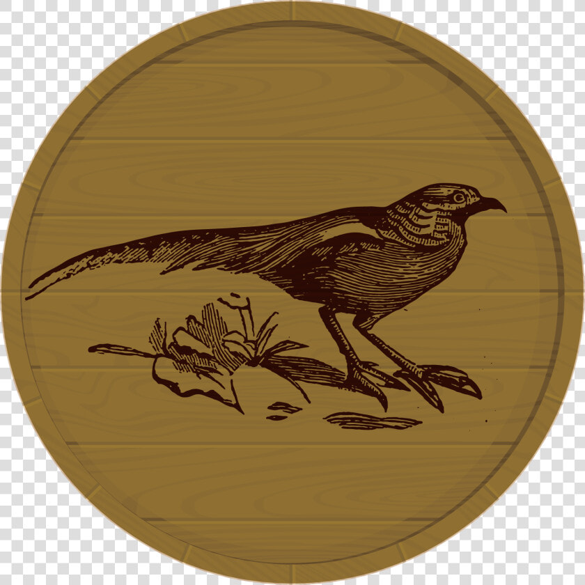 Quail Png  Transparent PngTransparent PNG