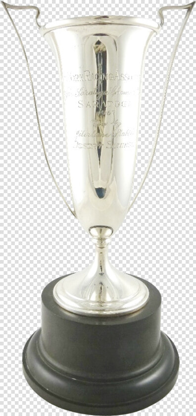 Transparent Silver Trophy Clipart   Champagne Stemware  HD Png DownloadTransparent PNG