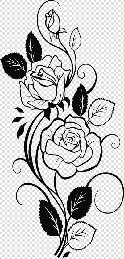 Transparent Rose Clipart Black And White   Rose With Vines Drawing  HD Png DownloadTransparent PNG