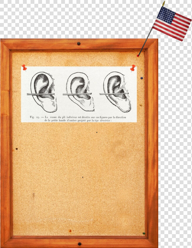 Listening Game Board Copy   Plywood  HD Png DownloadTransparent PNG