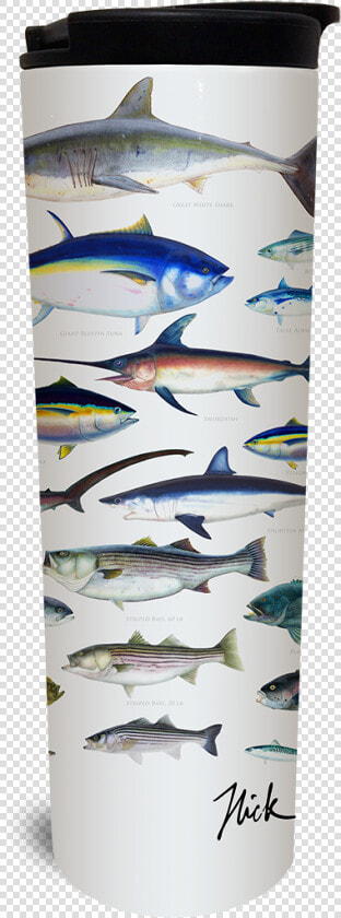Watermark   Sardine  HD Png DownloadTransparent PNG