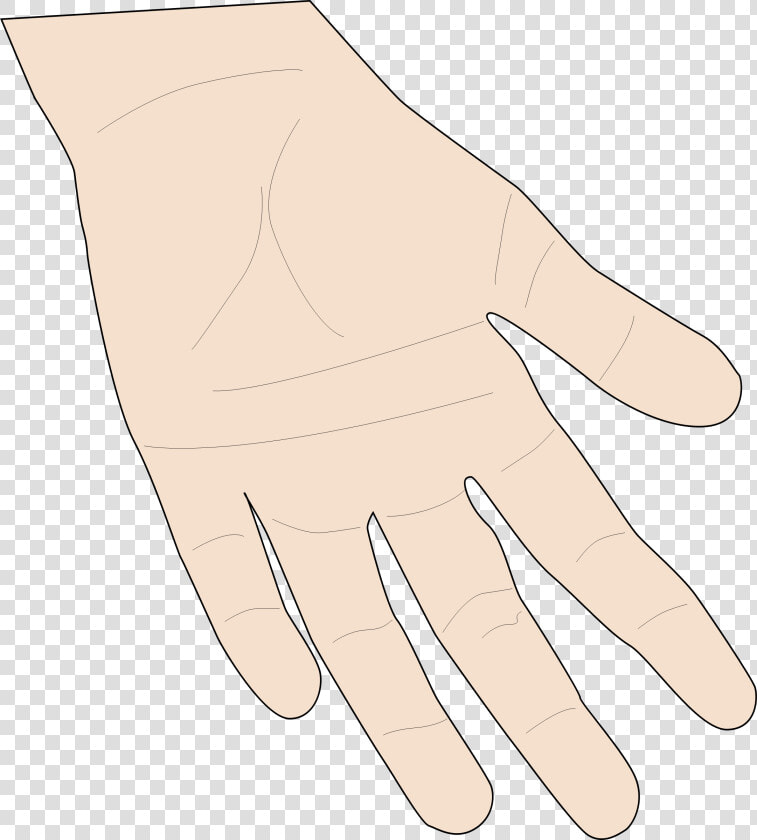 Transparent Skin Clipart   Hand Skin Clipart  HD Png DownloadTransparent PNG