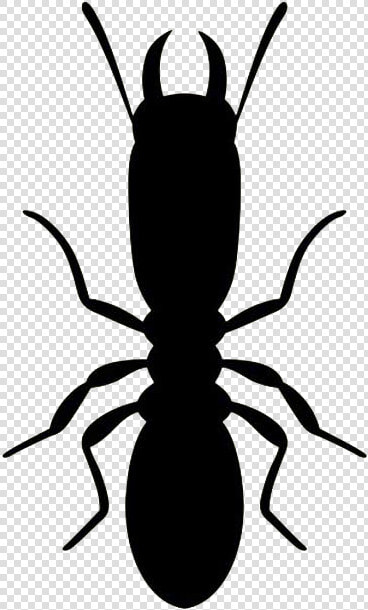 Termite Silhouette  HD Png DownloadTransparent PNG