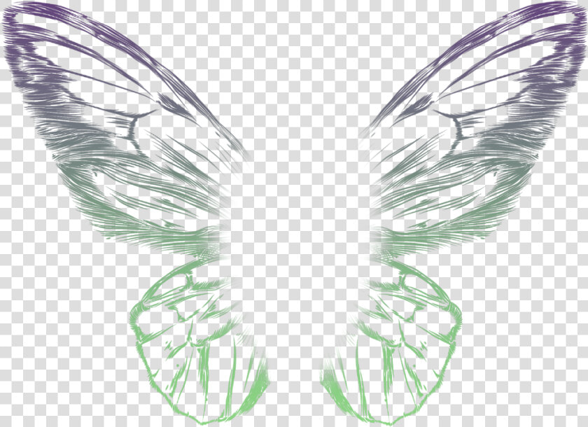  butterfly  wings  multicolor   Picsart Neon Wings Png  Transparent PngTransparent PNG