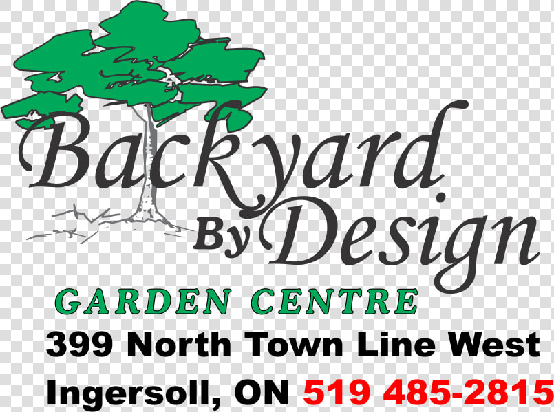 Backyard By Design Garden Centre Japanese Maples   Calligraphy  HD Png DownloadTransparent PNG