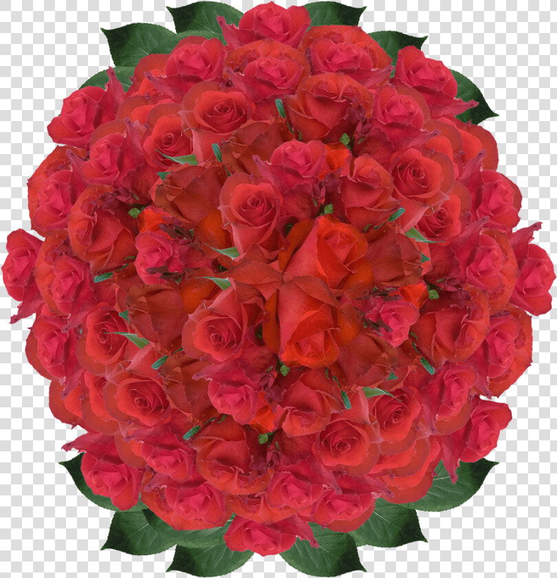 Red Roses Wholesale Blood Red Rose Flowers Order Roses   Floribunda  HD Png DownloadTransparent PNG