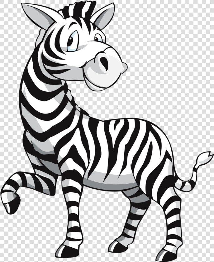 Desenho Zebra Png   Zebra Cartoon  Transparent PngTransparent PNG
